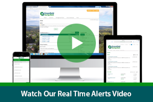 Real Time Alerts Video