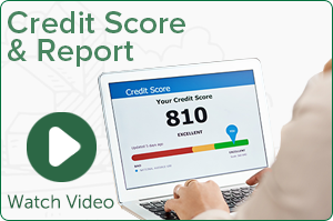 Credit Score and Report Video