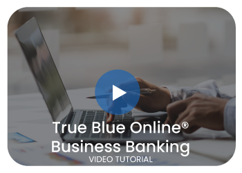 True Blue Online® Business Video