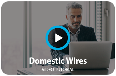 Domestic Wires Tutorial