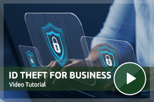V2 ID Theft for Business