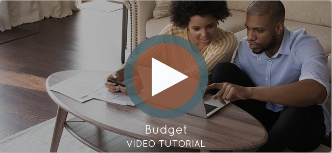 Watch Our Budget Video