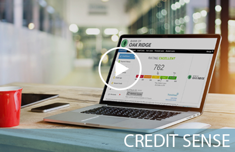Credit Sense Video