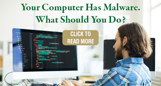 Your Computer Has Malware.  What Should You Do?
