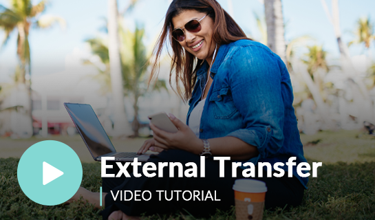 External Transfer Video