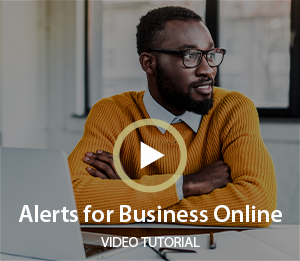 Alerts for Business Online Video