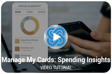 Manage My Cards Spending Insights Video