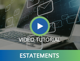 EStatements Interactive Video Player