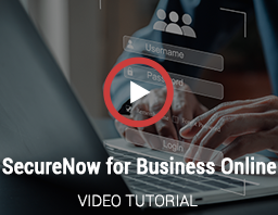 SecureNow for Business Online Video