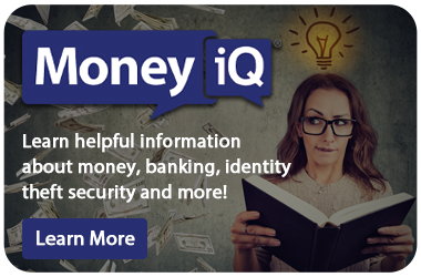 Desktop MoneyIQ