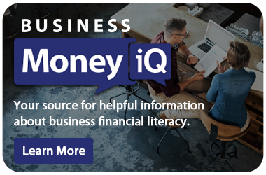 Desktop Business MoneyIQ