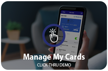 Manage My Cards Click-Thru Demo (Desktop)