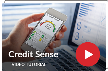 Credit Sense Video