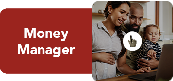 Money Manager Video