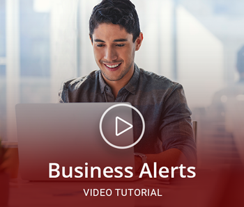Business Alerts Video