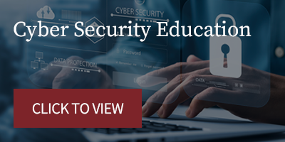 MoneyiQ Financial Literacy - Cyber Security Education Videos