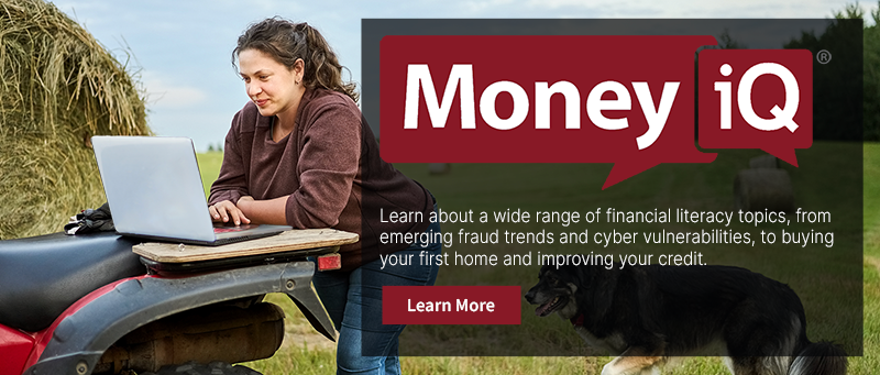 Desktop MoneyiQ Financial Literacy Center