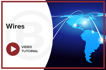 Wires Video