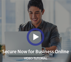 Secure Now for Business Online Video