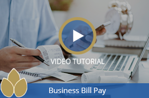 Business Bill Pay Video