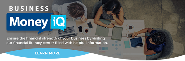 Desktop MoneyIQ for Business