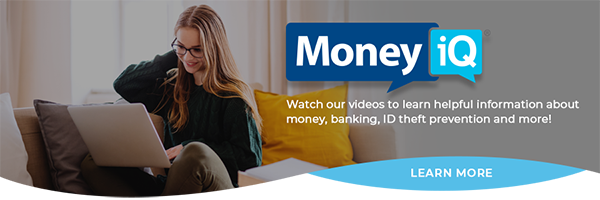 Desktop MoneyIQ