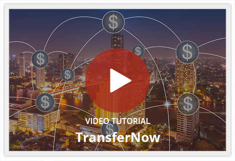 TransferNow Video