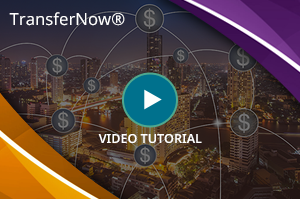 TransferNow® Video