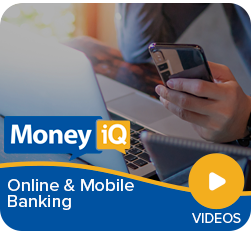 MoneyiQ - Online and Mobile Banking Videos