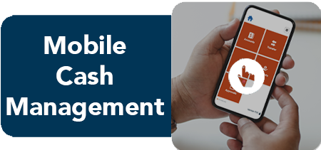 Mobile Cash Management Click-Thru Demo (Desktop)