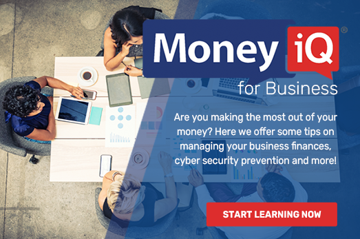 Desktop MoneyiQ for Business Financial Literacy Center