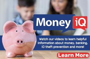 Desktop MoneyiQ Financial Literacy Center