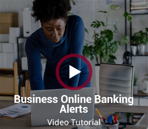 Business Online Banking Alerts Video