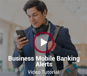 Online Mobile Banking Plus+ Alerts Video