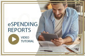 eSpending Reports Video