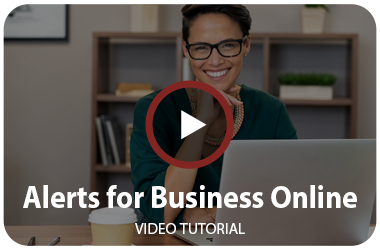 Alerts for Business Online Video