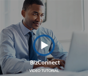 BizConnect Video